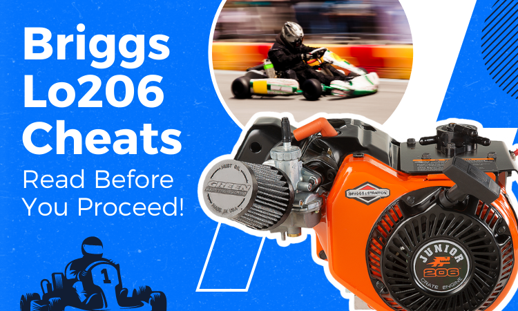 Briggs Lo206 Cheats: Read Before You Proceed!