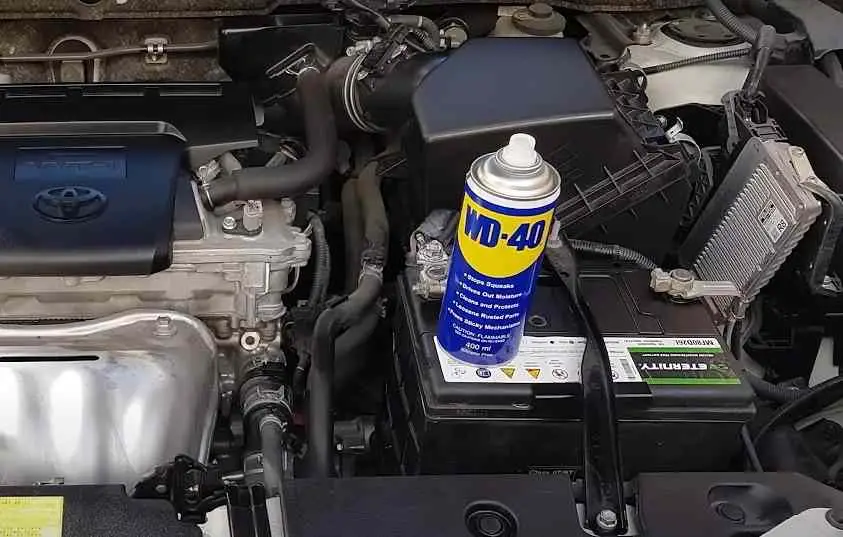 WD-40 or carburetor cleaner